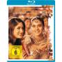 Kabhi Khushi Kabhie Gham - In guten wie in schweren Tagen [Regio free (0)]