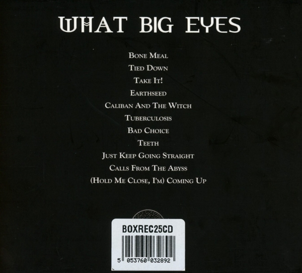 What Big Eyes 1