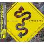 Spyro Gyra - Road Scholars