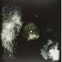 Fink - Fall Into The Light/Pilgrim