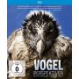 Jrg Adolph - Vogelperspektiven (Special Edition) (Blu-ray) [DE-Version, Regio 2/B]
