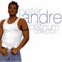 Peter Andre - Platinum Collection