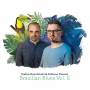 Stefan Koschitzki / Fabiano Pereira - Brazilian Blues Vol.2 (Digipak)