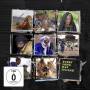 Various - Every Song Has Its End- Sonic Dispatches From Trad