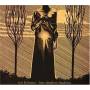 Tex La Homa - Into Timeless Shadows Ep
