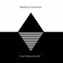 Forerunners - Pure Progressive Vol.2