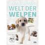 Greg Grainger - Die wunderbare Welt der Welpen [DE-Version, Regio 2/B]