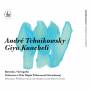 Boreyko / Gringolts / Warsaw Philharmonic Orchestra / + - Concerto classico/Libera me