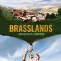 V / A - Brasslands