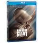 Iron Giant: Signature Edition / (coll Rmst Dol) - Iron Giant: Signature Edition [US-Version, Regio 1/A]