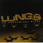Lungs - Anatomical Guide An