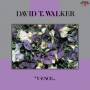 David T. Walker - Y-ence