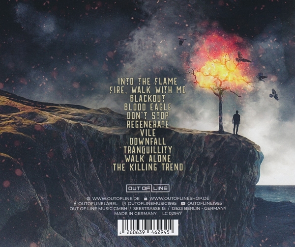 Origin Of Fire 1