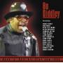 Bo Diddley - RocknRoll All-Star Jam 1985