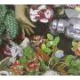 Ben Lee - Deeper Into Dream