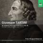 Peter Sheppard Skaerved - 30 Sonate piccole Vol.3