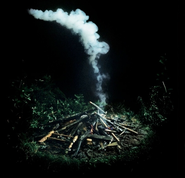 Last Days (Triple Gatefold 2LP) 1