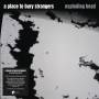 A Place To Bury Strangers - Exploding Head (2022 Remaster) (Deluxe)