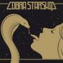 Cobra Starship - While City Sleeps.we Rule Street