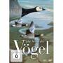 Jacques Cluzaud - Die Reise der Vgel (2 DVDs) [EURO-Version, Regio 2]