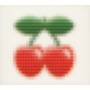 PACHA EXPERIENCE - Pacha Experience