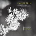 Ensemble Tarentule - L'Aubespin