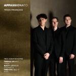 Trio Zarathoustra - Appassionato (Trios franais)