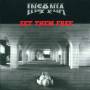 Insania - Set Them Free