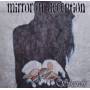 Mirror Of Deception - Shards