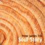 Peter James Trio - Soul Story