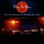 Dan Braz Ar - En Concert