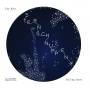 Eva Kess - Sternschnuppen-Falling Stars
