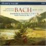 Various - Brandenburg Concertos