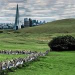 Famous - The Valley/England