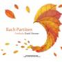 David Shemer - Partiten