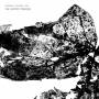 Snekkestad / Fernandez / Guy - The Swifted Traveler