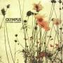 Horse Company - Olympus