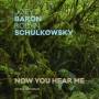 Robyn Schulkowsky / Joey Baron - Now You Hear Me