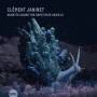 Clment Janinet - Ornette Under the Repetitive Skies III