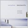 Danilo Zanchi - Looking Ahead