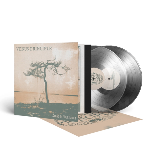 Stand In Your Light (Crystal Clear 2-Vinyl) 1