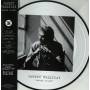 Johnny Hallyday - Rester Vivant