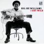 Big Joe Williams - I Got Wild