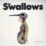 Swallows (rock) - Demystified