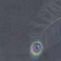 Unwed Sailor - Circles/The White Ox