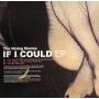 The Dining Rooms - If I Could