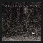 Wild Carnation - Tricycle