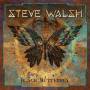 Steve Walsh - Black Butterfly