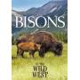 Documentation - Bisons In The Wild West [DE-Version, Regio 2/B]