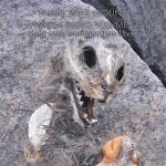 Nurse With Wound - Shipwreck Radio Volume 1